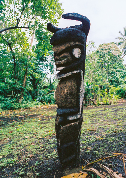 Grade statues in fern trees in the forest, Malampa province, Malekula island, Vanuatu