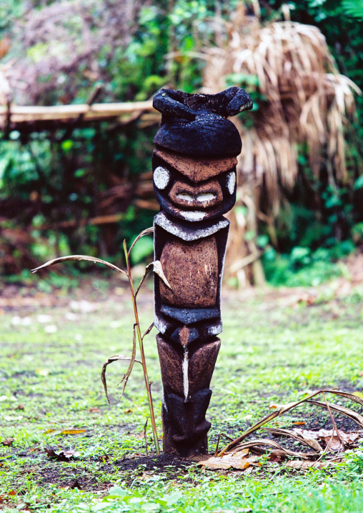 Grade statues in fern trees in the forest, Malampa province, Malekula island, Vanuatu