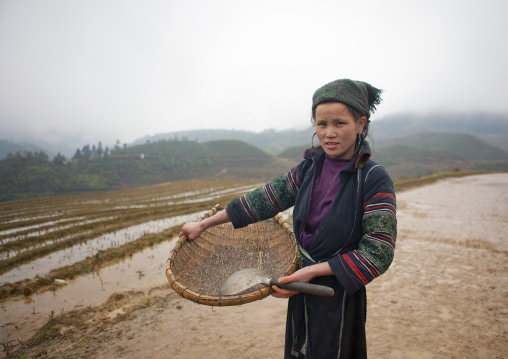 Black hmong woman showing the rice she picked up, Sapa, Vietnam