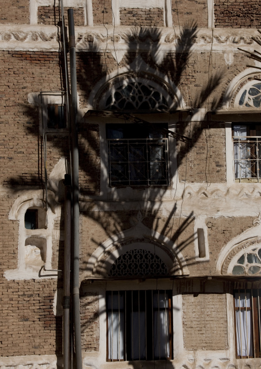 Shadow Of A Palm Tree On A Traditional Building In Sanaa, Yemen