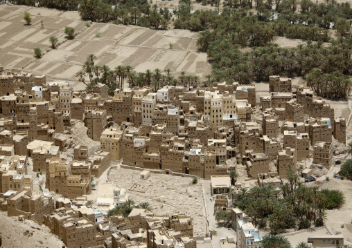 Aerial View Over Houses In An Oasis, Wadi Doan, Yemen
