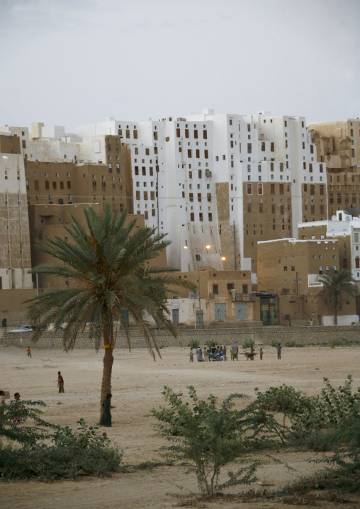 Palm Trees, Playground And White Skycrapers In Shibam, Yemen