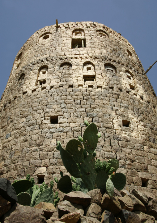 Cactus Under A Tower, Shahara, Yemen