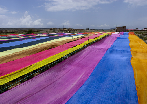 Qat Field Covered With Colorful Gauzes, Ibb, Yemen
