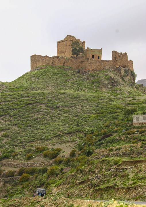 Terraces planted with cereals, Ibb Governorate, Jibla, Yemen