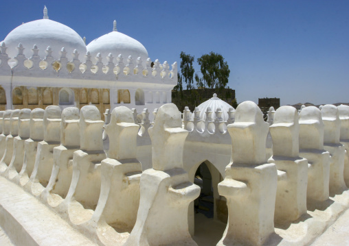 Al-Amiriya mosque domes, Al Bayda Governorate, Rada, Yemen