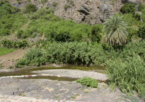 River in a valley, Al Hudaydah Governorate, Zabid, Yemen
