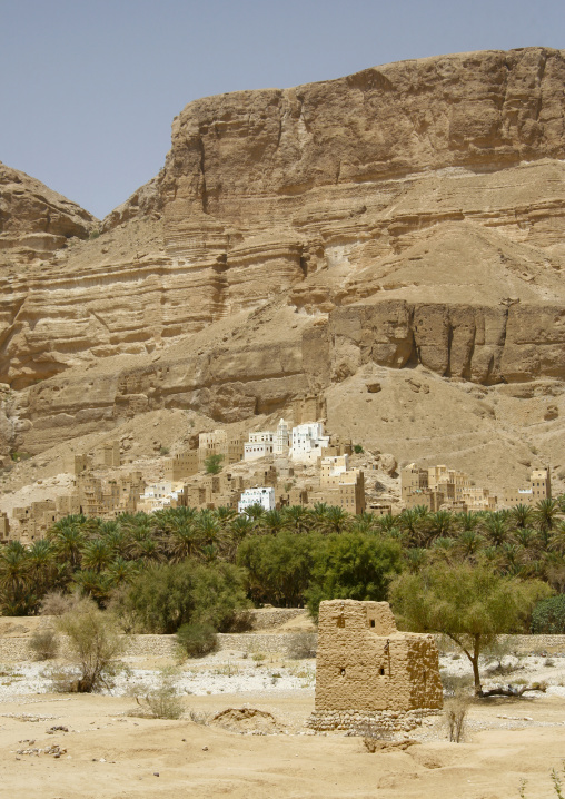 Mudbrick houses in a village, Hadhramaut, Khaila, Yemen
