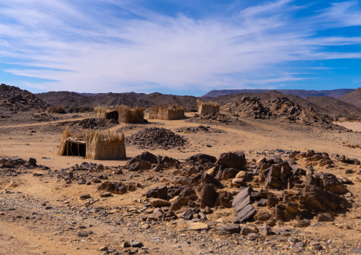 Tuareg traditional village with reed houses, North Africa, Tamanrasset, Algeria