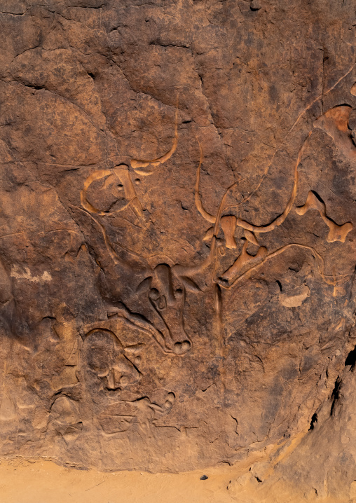 La vache qui pleure rock carving, North Africa, Erg Admer, Algeria