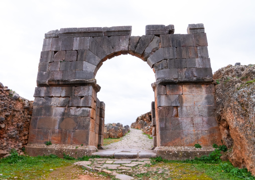 Cardo Maximus in Tiddis Roman Ruins, North Africa, Bni Hamden, Algeria