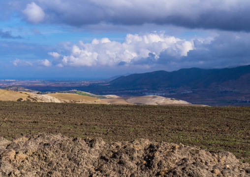 Fields in a farm, North Africa, Oran, Algeria