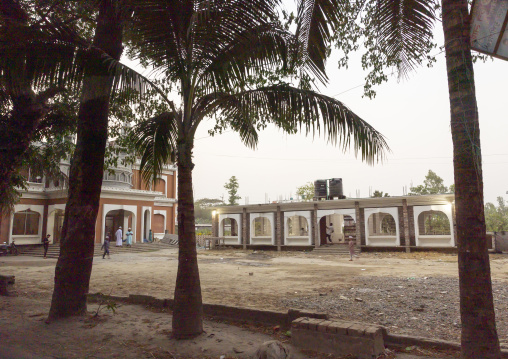 Plam trees in a mosque courtyard, Sylhet Division, Kamalganj, Bangladesh