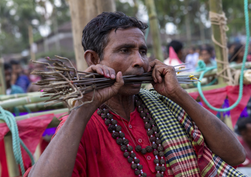 Man putting tridents in his mouth during Charak Puja hindu festival, Sylhet Division, Kamalganj, Bangladesh