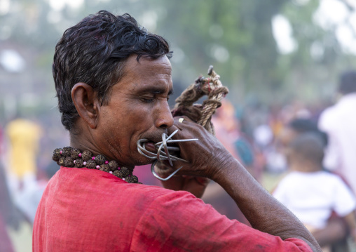 Hooks for body suspension during Charak Puja hindu festival, Sylhet Division, Kamalganj, Bangladesh