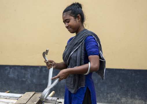 Gypsy woman with snake she rents for ceremonies, Chittagong Division, Bijoynagar, Bangladesh