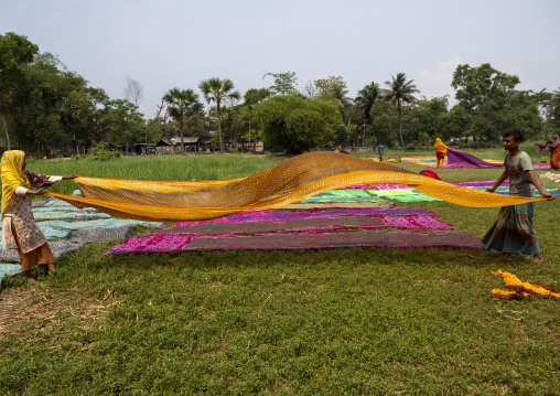 Bangladeshi workers drying fabrics the sun in a batik factory, Chittagong Division, Comilla, Bangladesh