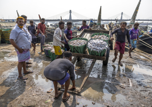 Bangladeshi man selling fish in fish market, Chittagong Division, Chittagong, Bangladesh