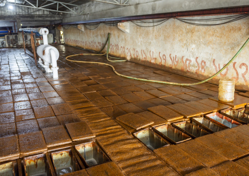 Ice factory in the fish market, Chittagong Division, Chittagong, Bangladesh