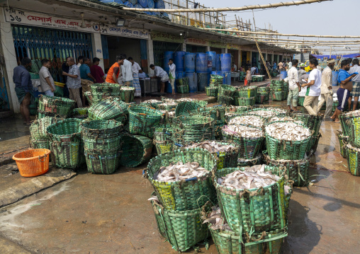 Baskets full of fishes at the morning fish market, Chittagong Division, Chittagong, Bangladesh