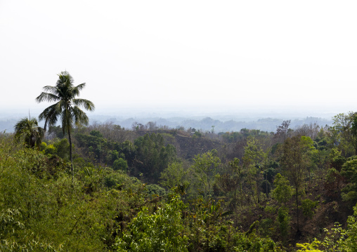 Forest landscape in the hills, Chittagong Division, Bandarban, Bangladesh