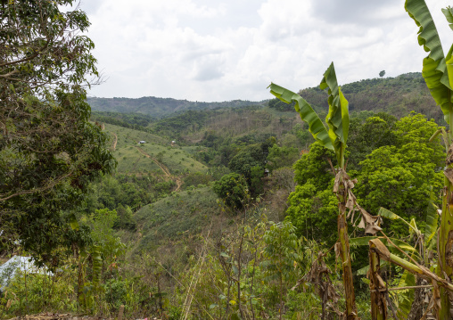 Forest landscape in the hills, Chittagong Division, Rowangchhari, Bangladesh