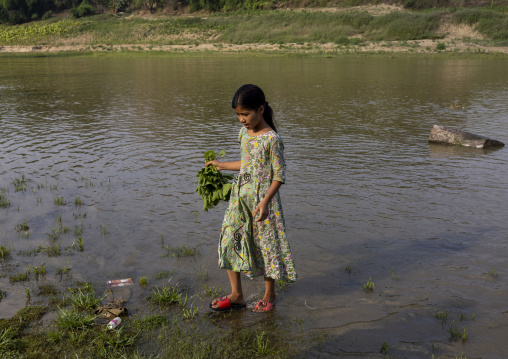 Marma ethnic group girl cleaning vegetables in the river, Chittagong Division, Rowangchhari, Bangladesh