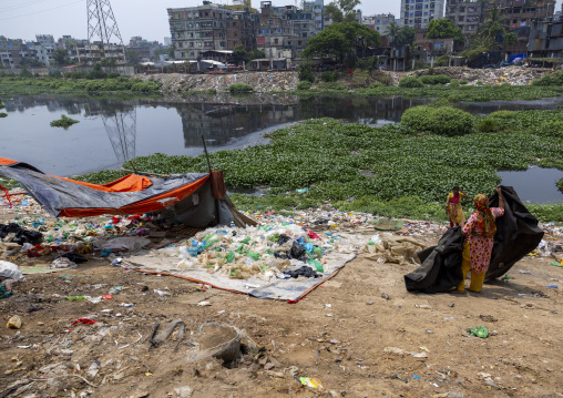 Bangladeshi women collecting garbages in a dump to recycle, Dhaka Division, Dhaka, Bangladesh