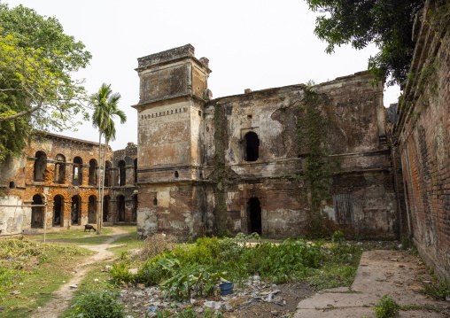 Abandonned Teota Zamindar Bari, Dhaka Division, Shivalaya, Bangladesh