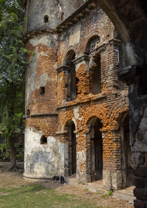 Abandonned Teota Zamindar Bari, Dhaka Division, Shivalaya, Bangladesh