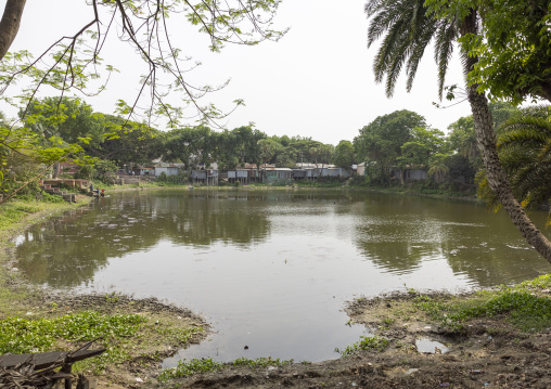 Pond in a village, Dhaka Division, Shivalaya, Bangladesh
