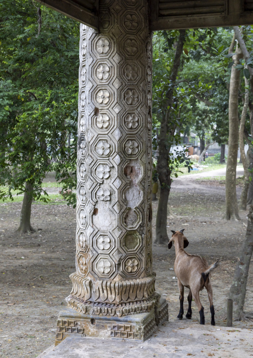 Column in an heritage house at Pakutia Zamindar Bari, Dhaka Division, Nagarpur, Bangladesh