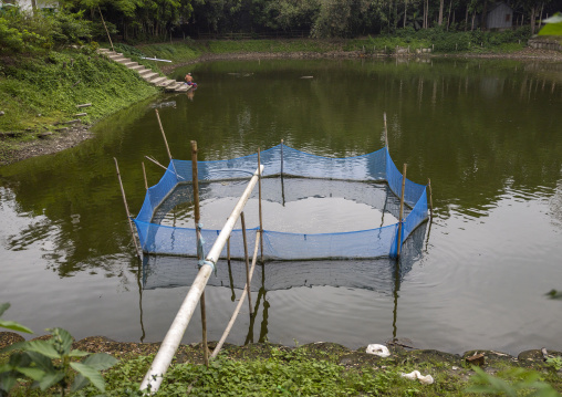 Fish farming in a lake, Dhaka Division, Delduar, Bangladesh