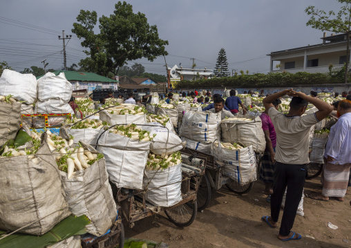 Men selling turnips in the market in big bags, Rajshahi Division, Shibganj, Bangladesh