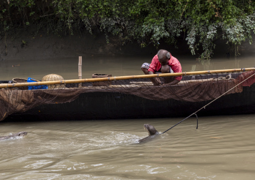 Bangladeshi fishermen use otters to fish in the Sundarbans, Khulna Division, Narail, Bangladesh