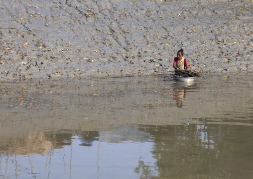 Bnagladeshi woman collecting wood in the river, Khulna Division, Mongla, Bangladesh
