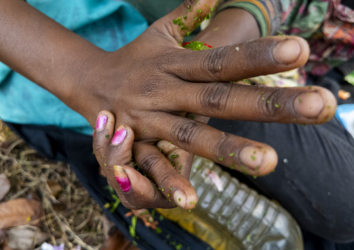 Bangladeshi woman crashing chili in her hands, Sylhet Division, Kamalganj, Bangladesh