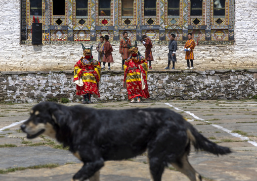 Mask dancers at the annual Ura Yakchoe festival, Bumthang, Ura, Bhutan