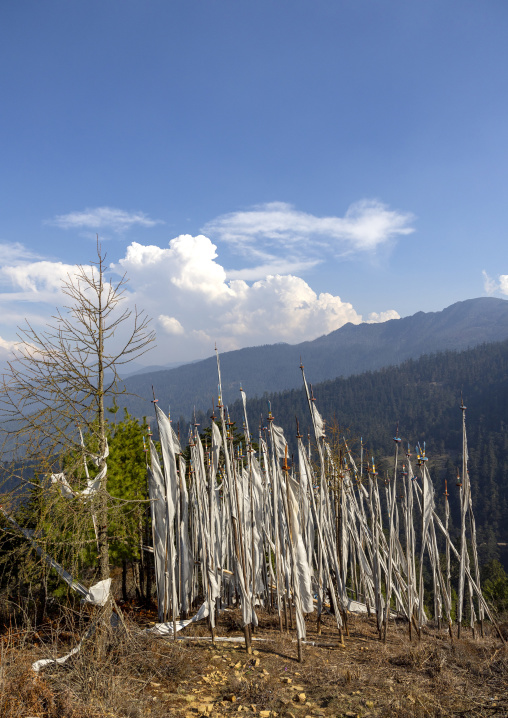 Manidhar prayer flags are raised on behalf of a deceased person, Wangchang Gewog, Paro, Bhutan