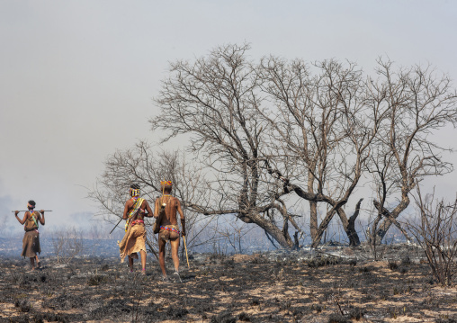 Bushmen in the bush after a fire, Otjozondjupa, Tsumkwe, Namibia