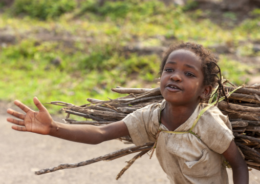 Girl walking with a load of wood on her back, Addis Ababa region, Addis Ababa, Ethiopia