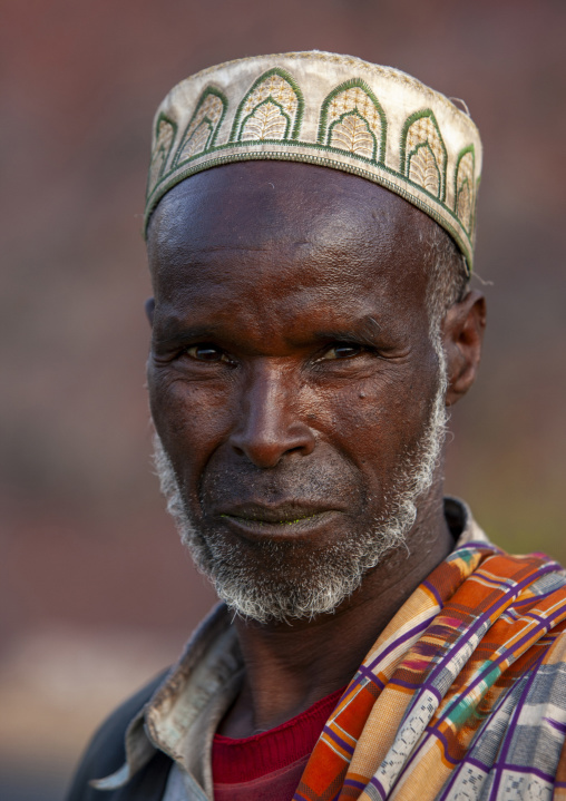 Portrait of a muslim man with beard, Dire Dawa woreda, Dire Dawa, Ethiopia