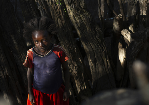 Girl with afro hair from Konso tribe, South Ethiopia Regional State, Konso, Ethiopia