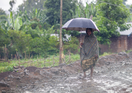 Woman with an umbrella under the rain walking in the mud, Oromia, Adama, Ethiopia