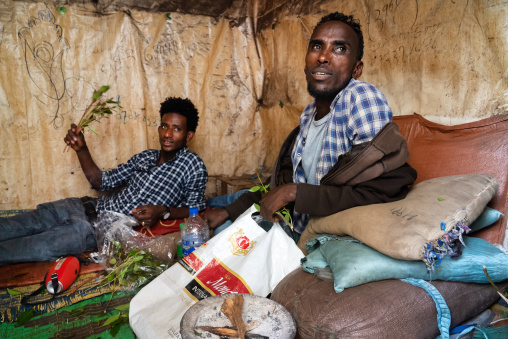 Ethiopian men chewing khat, Harari Region, Awaday, Ethiopia