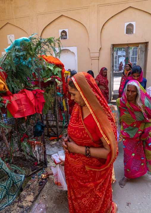 Indian women making offerings in Galtaji temple, Rajasthan, Jaipur, India