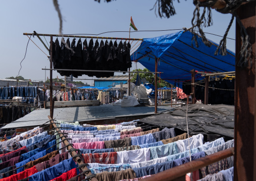 Dhobi Ghat open air laundromat, Maharashtra state, Mumbai, India