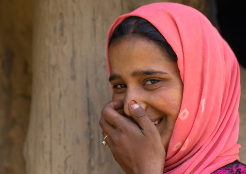 Portrait of a kashmiri veiled young woman, Jammu and Kashmir, Yusmarg, India