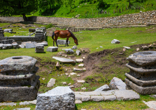 Ruins of Naranag Temple on ancient Hindu pilgrimage site, Jammu and Kashmir, Kangan, India