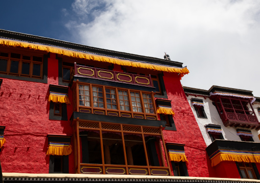 Thiksey monastery, Ladakh, Thiksey, India